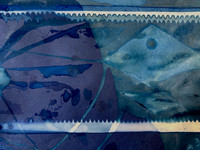 Cyanotypes