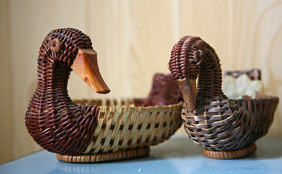 Ducks