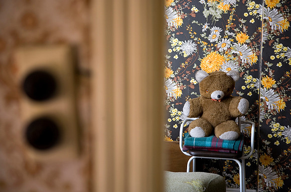 Teddy