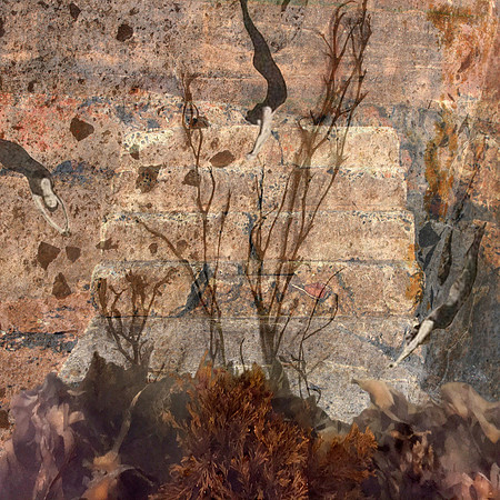 Submerged 3