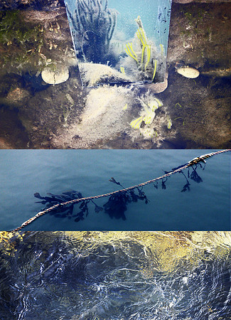 Littoral 2