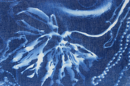 Cyanotype 2